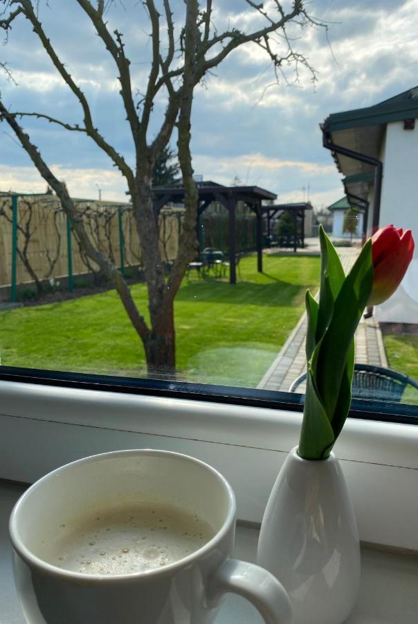 Zielone Zacisze Villa อูเนียยูฟ ภายนอก รูปภาพ
